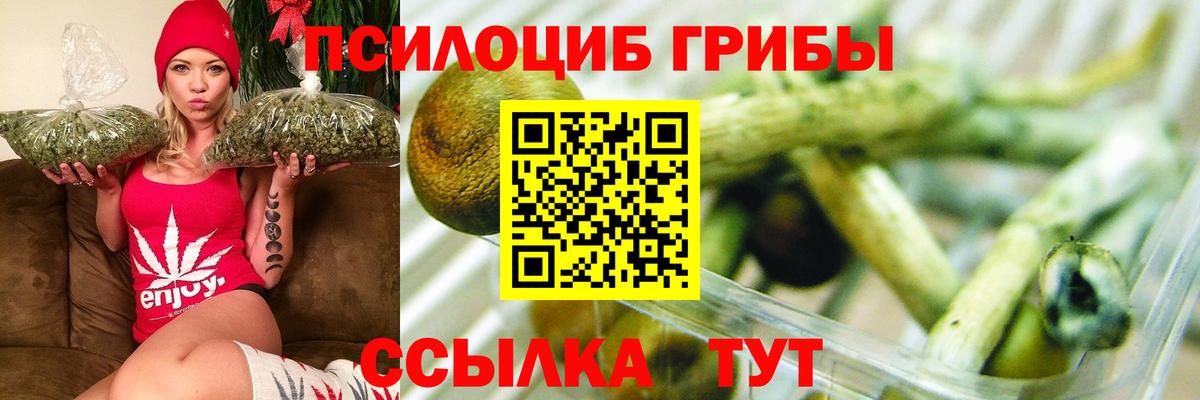 Галлюциногенные грибы Psilocybine cubensis Керчь